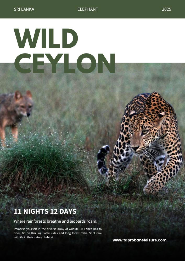 WILD CEYLON Taprobane Leisure