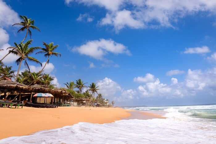 Kalpitiya-Sri-Lanka-Taprobane