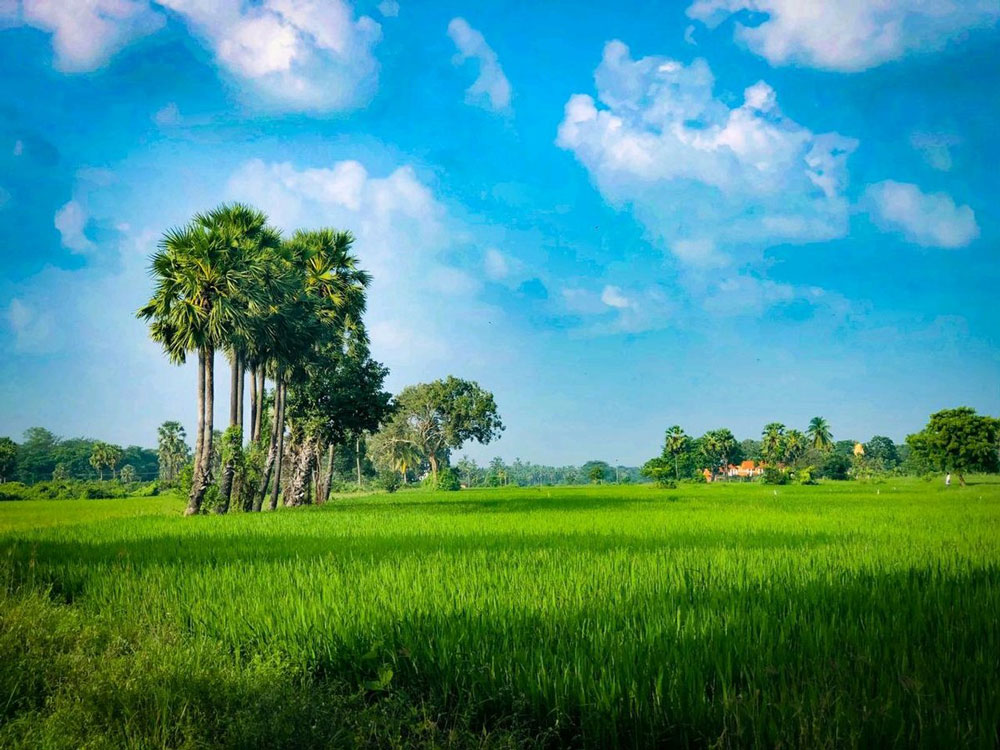 Kilinochchi-Sri-Lanka-Taprobane