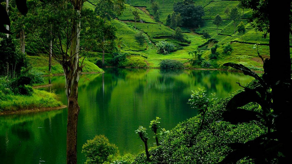 Nuwara Eliya-Sri-Lanka-Taprobane