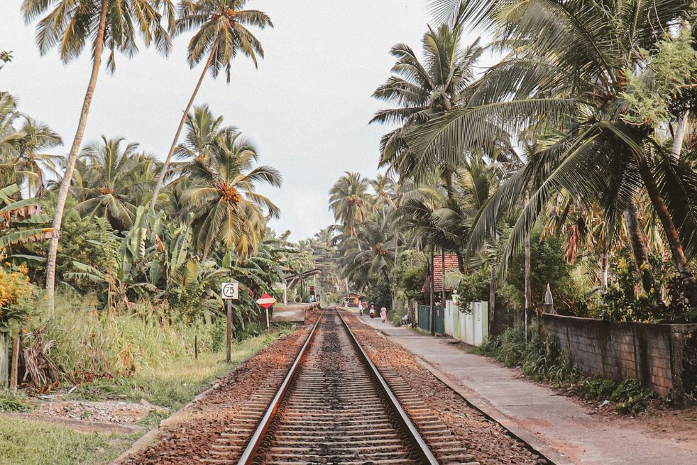 Sri Lanka by Rail taprobaneleisure - 4