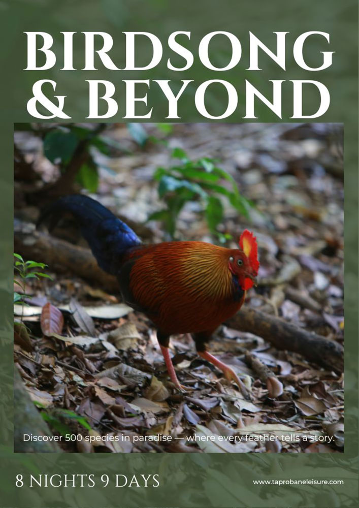 BIRDSONG & BEYOND SRI LANKA Taprobane Leisure