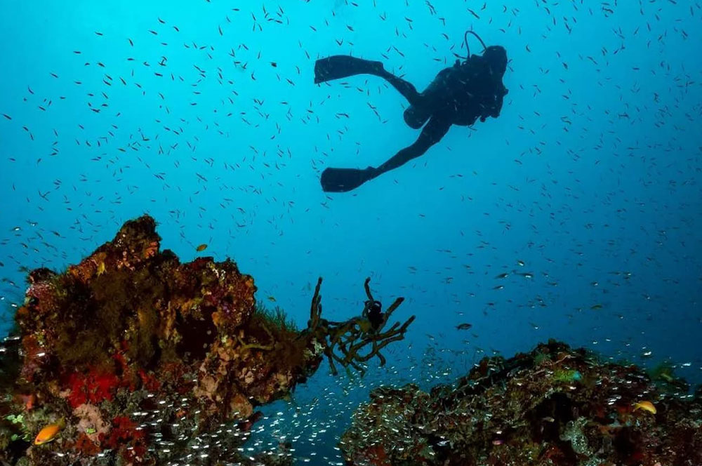 Taprobane-Leisure-Maldives-Amila-Maldives-Gallery-Experiences-Scuba-Diving